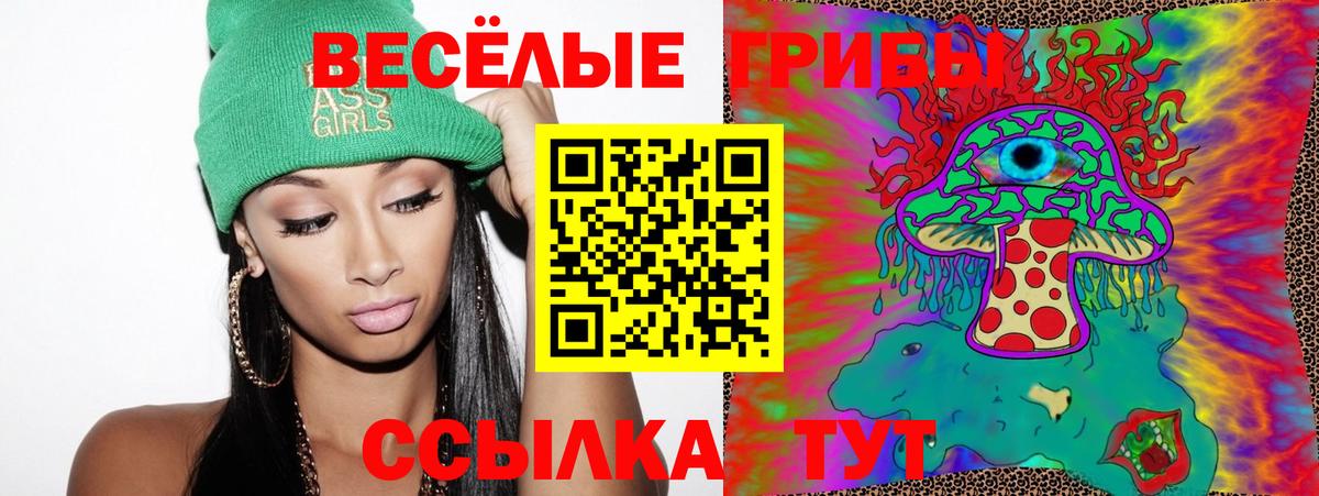Галлюциногенные грибы GOLDEN TEACHER Йошкар-Ола